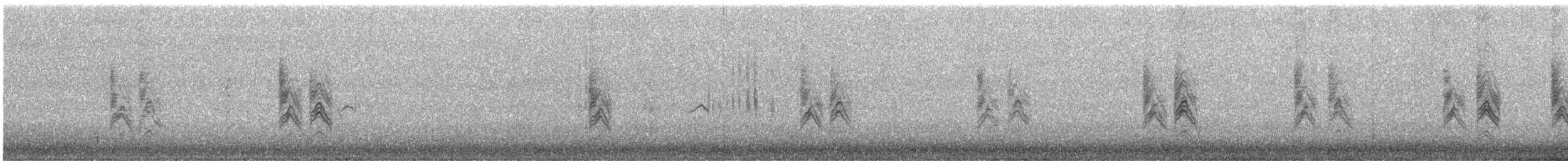 House Sparrow - ML645532585