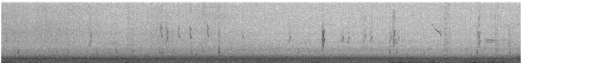 Welcome Swallow - ML645532629