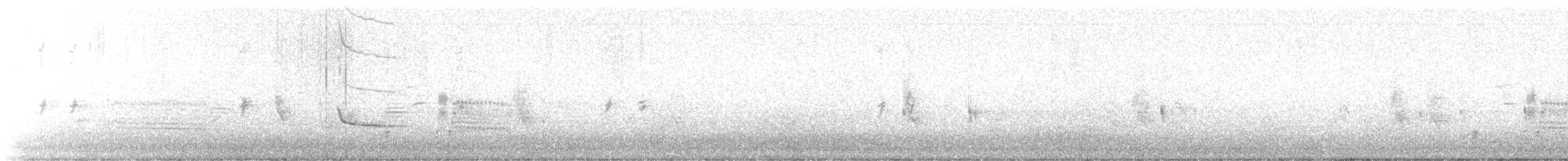 Say's Phoebe - ML645532642