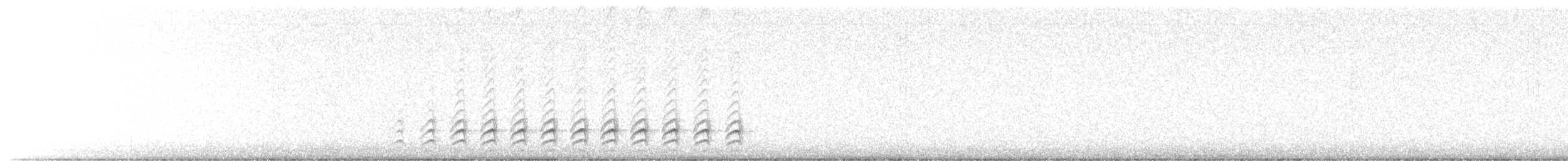 White-breasted Nuthatch (Interior West) - ML645532731