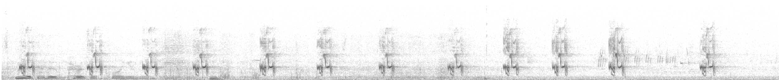 Black Currawong - ML645533099