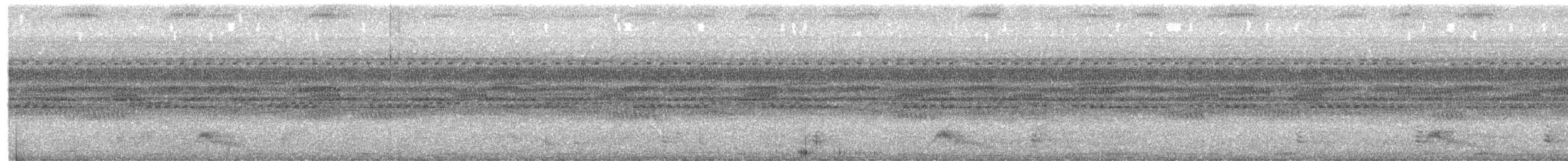 Common Pauraque - ML645533659