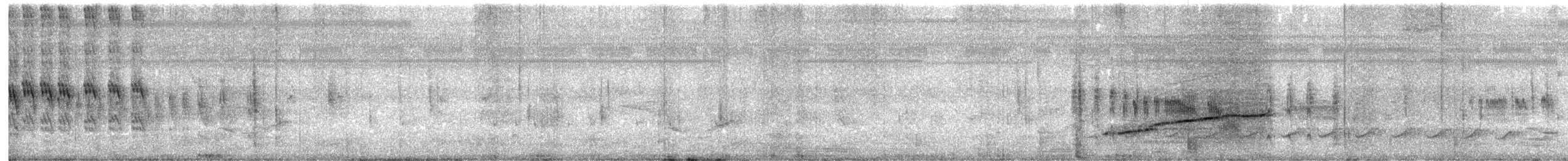 Гракл нікарагуанський - ML645533835