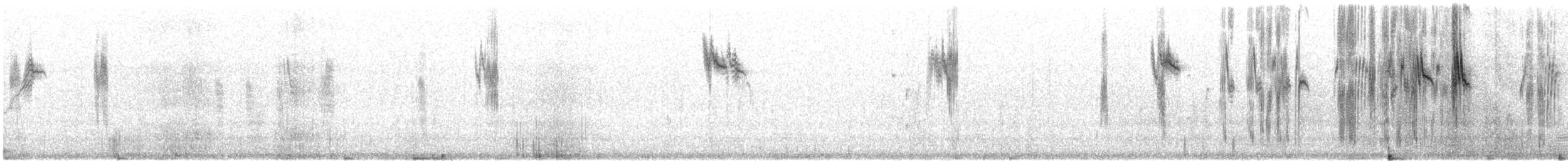 Папужка золотисточеревий - ML645534130