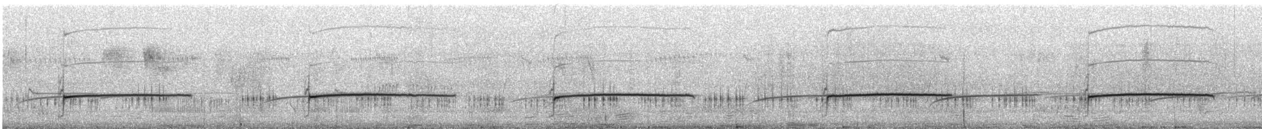 Вогнегуз тасманійський - ML645534140
