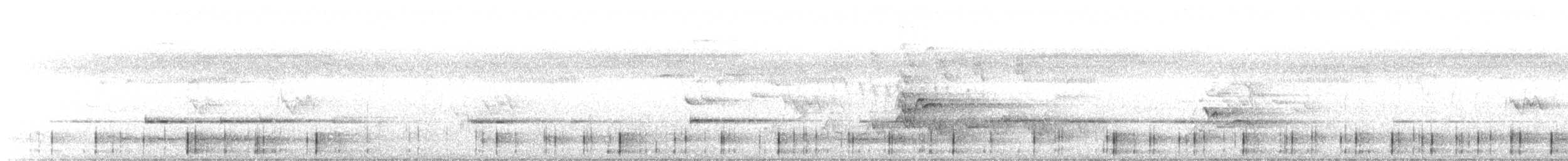 Striped Marsh Frog - ML645534194