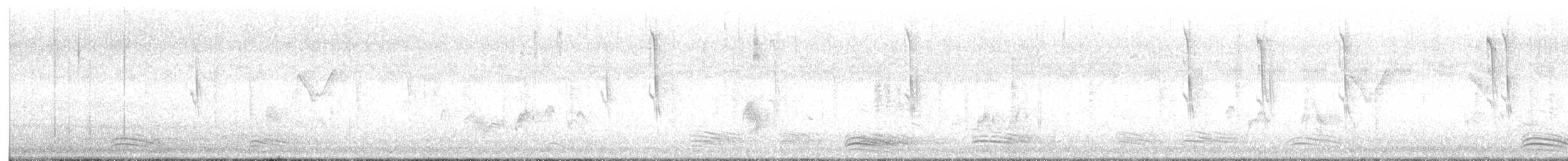 Таміка віялохвоста - ML645534272