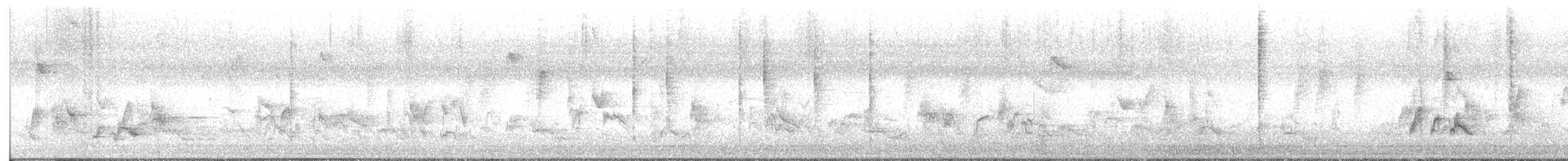 Очеретянка чорноброва - ML645534280