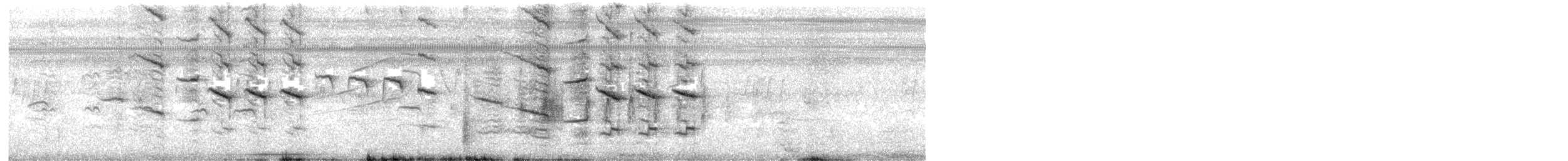 Гракл нікарагуанський - ML645534288