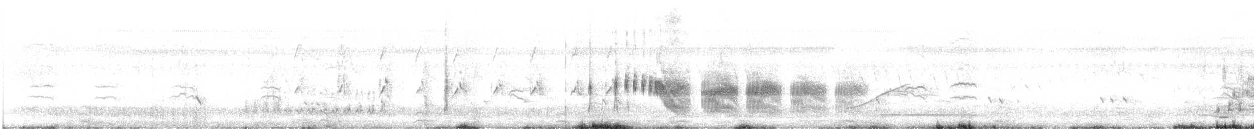 Гракл нікарагуанський - ML645534325