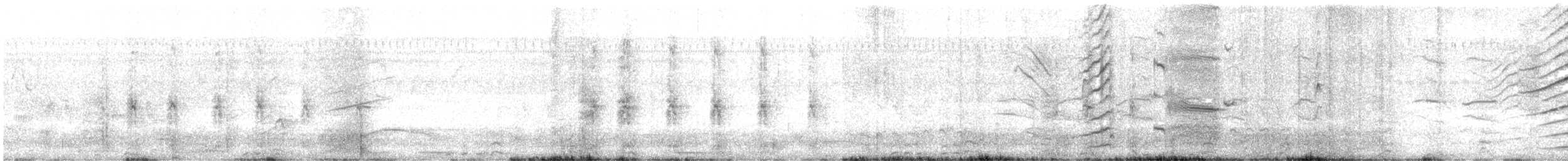 Гракл нікарагуанський - ML645534357