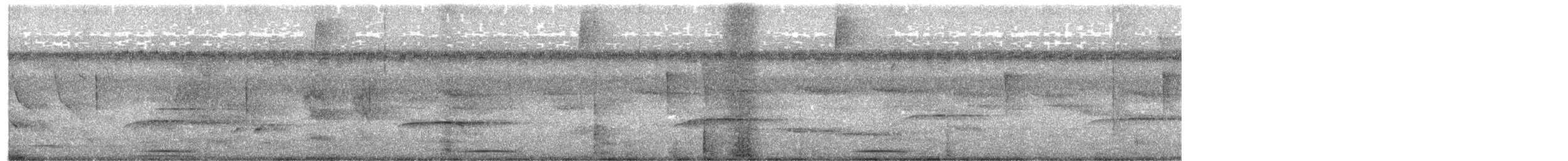 Горличка мексиканська - ML645534537