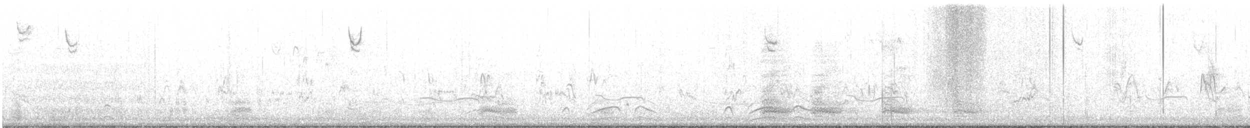 Перепелиця каліфорнійська - ML645534571