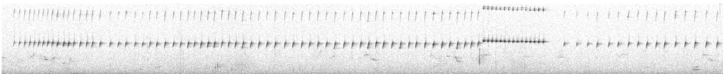 Upland Pipit - ML645535383