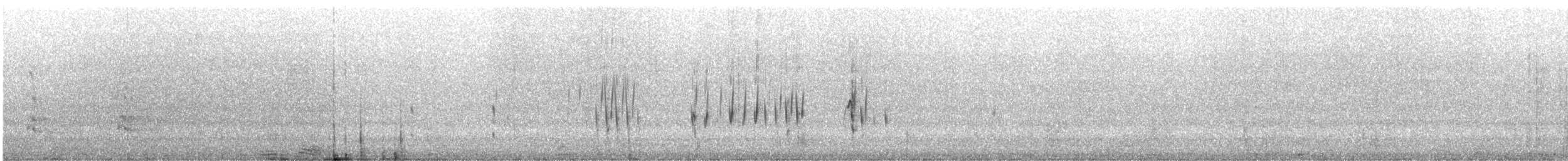 Square-tailed Kite - ML645535498