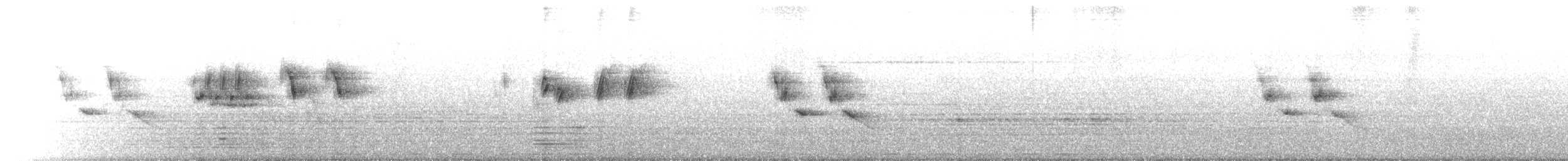 White-browed Wagtail - ML645535721