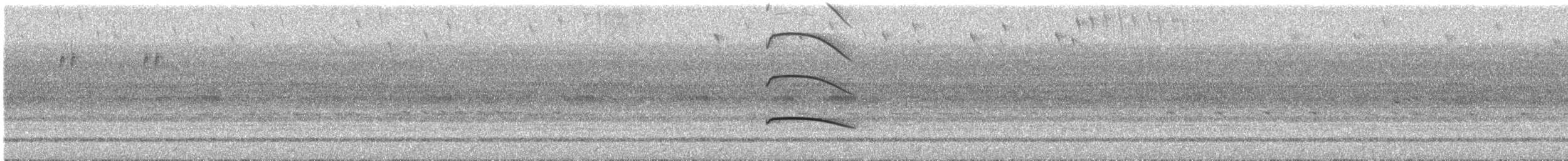 Striped Owl - ML645535807