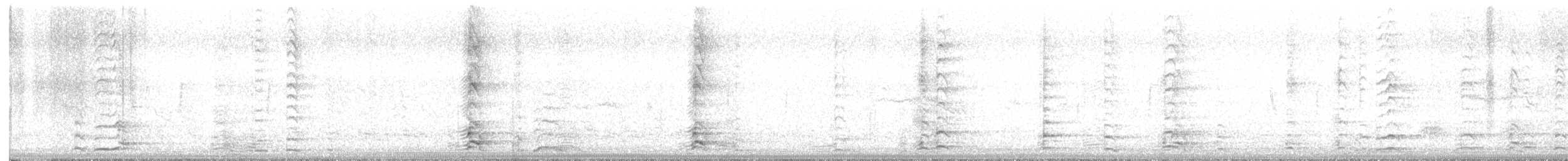 小加拿大雁 - ML645535948