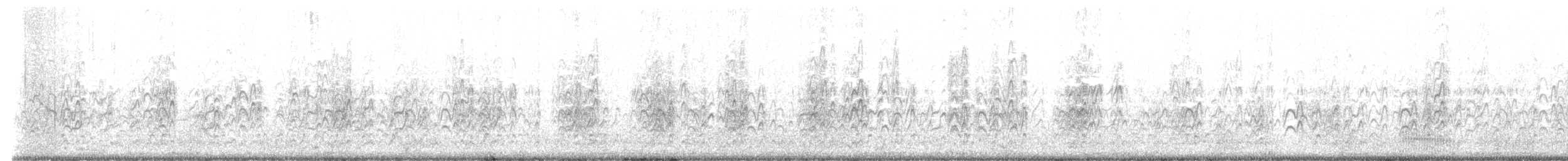 Avustralya Sumrusu - ML645536055