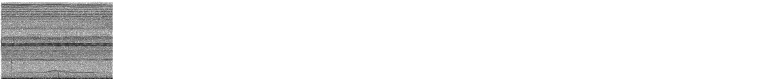 Крючкоклювый зелёный голубь - ML645536669