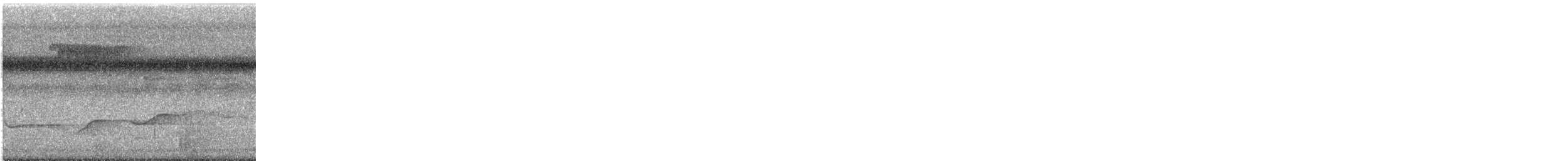 Мангровый усатоклюв - ML645536696