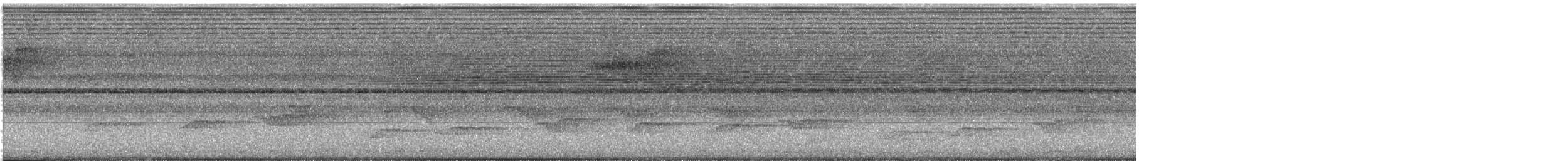 Мангровый усатоклюв - ML645536717