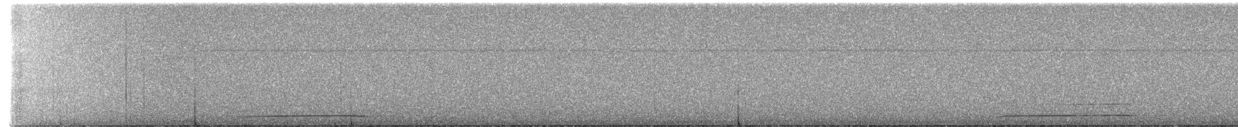 Northern Saw-whet Owl - ML645536867