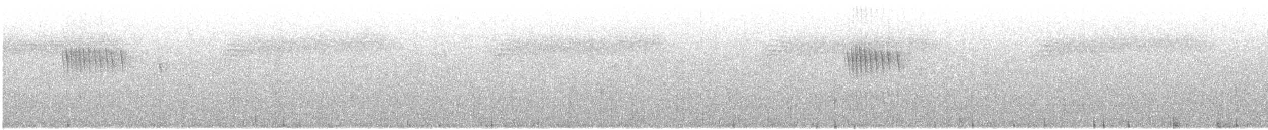 gråsibia - ML645537221