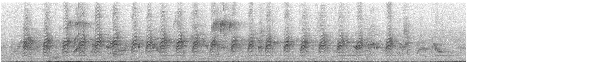 Ashy Woodswallow - ML645537417