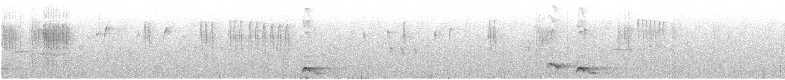 Spot-breasted Scimitar-Babbler - ML645537501