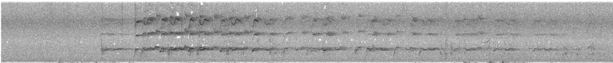 Australian Ringneck (Port Lincoln) - ML645537578