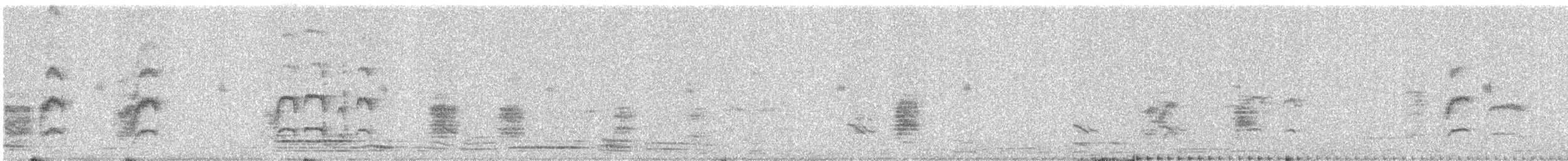 Jungle Babbler - ML645537579