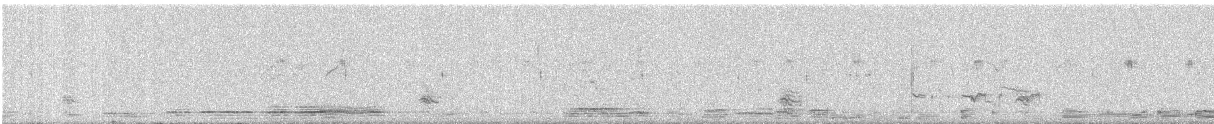 Jungle Babbler - ML645537581