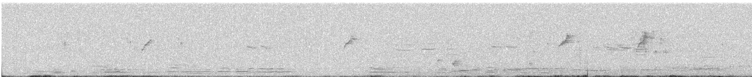 Пепельная приния - ML645537683