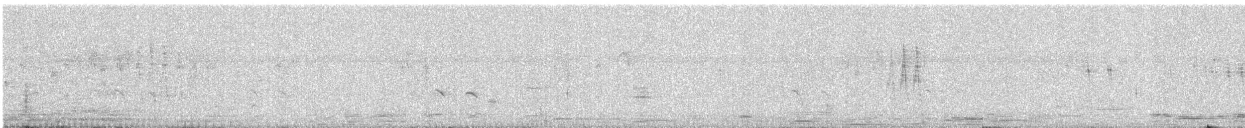 Пепельная приния - ML645537686