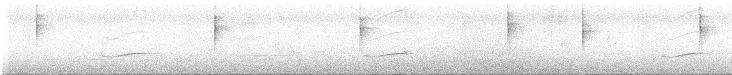 Hellbauch-Schnäppertyrann - ML645537716