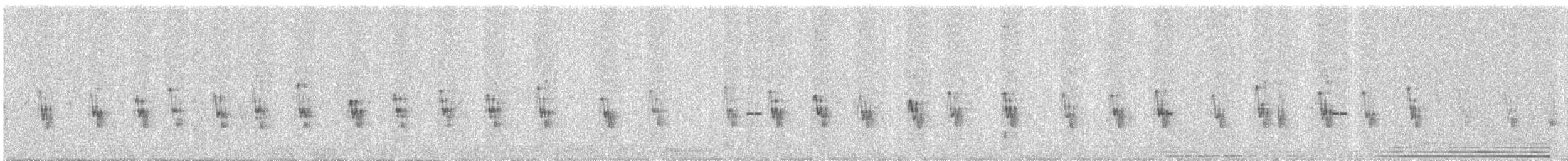 Bayaweber - ML645537754