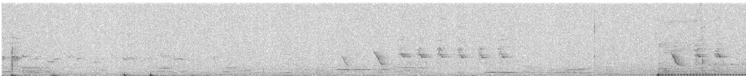 Hirtenmaina - ML645537803