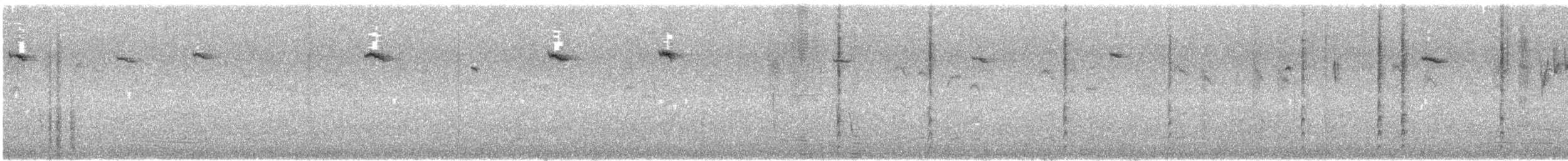 Weißwangen-Honigfresser - ML645537854