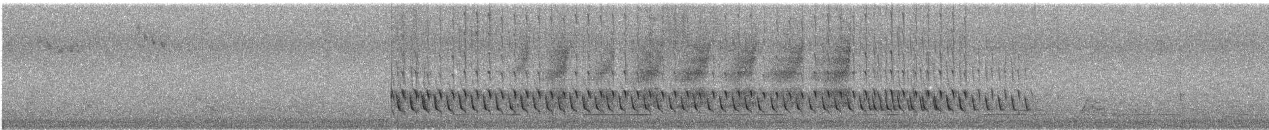 hvitkinnhonningeter - ML645537893