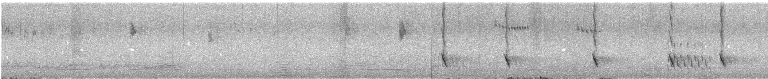 Weißwangen-Honigfresser - ML645537915