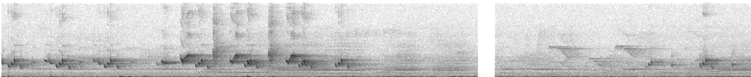 Bronzedrongo - ML645537920