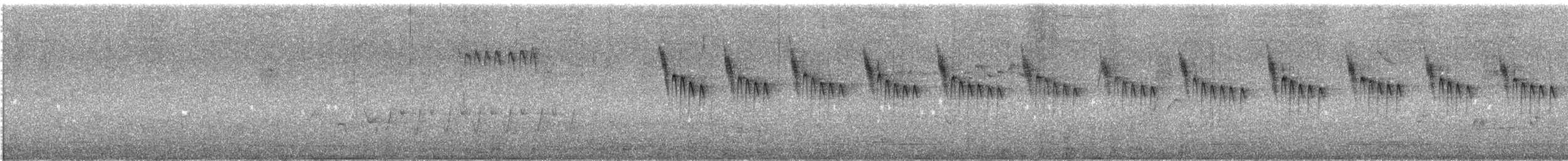 Walddornschnabel - ML645538052