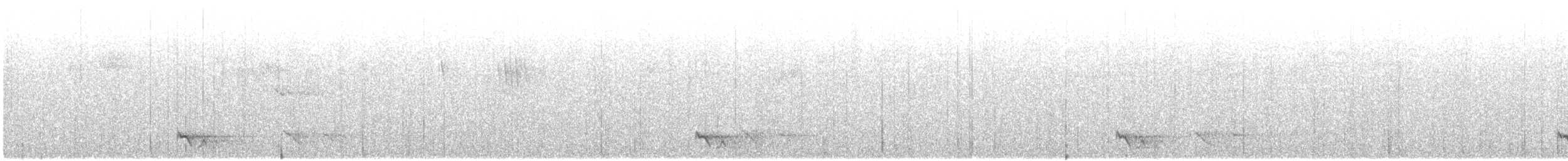 Fleckenbrustsäbler - ML645538119