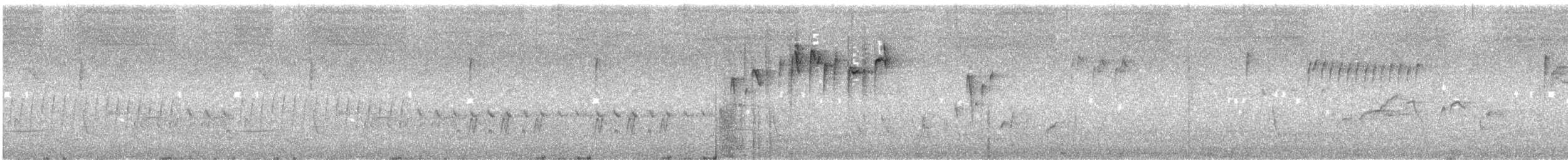 Walddornschnabel - ML645538140