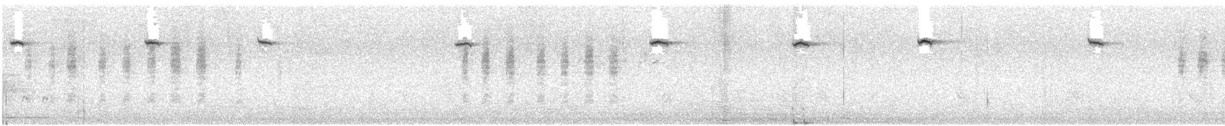 Türkisstaffelschwanz - ML645538217