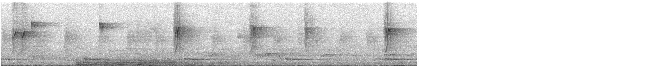 Schwarznackenmonarch - ML645538253