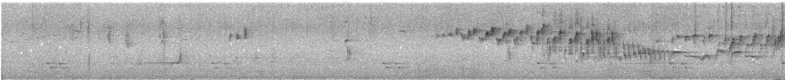 Türkisstaffelschwanz - ML645538551