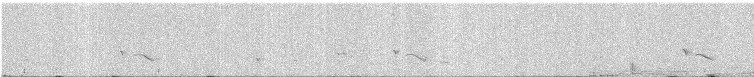 Black Drongo - ML645538638