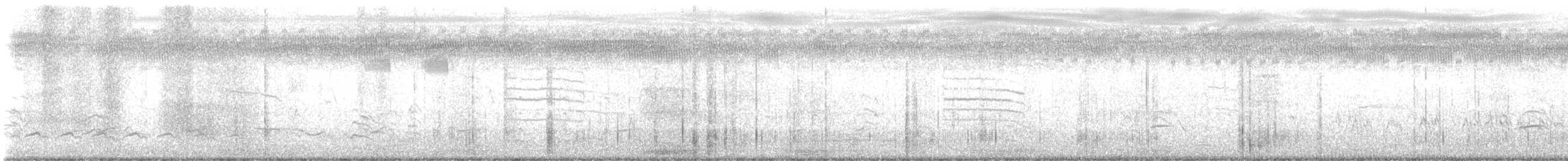 Chorlito Gris - ML645538731